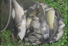 钓鱼为什么要放口，学会正确抓口，上钩率提升一半