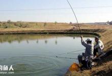 野外钓鱼绝招，根据水色选钓位