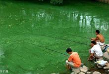 肥水难钓鱼？掌握这5个技巧照旧爆护