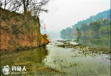 手车竿湖库野钓鲤鱼的选位技巧