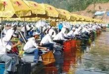 黑坑竞技抽窝聚鱼这个事，这几点常识你一定要懂