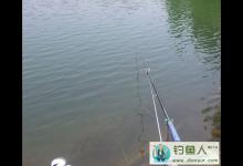 单人单竿险擒大鲤鱼分享