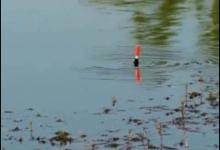 浮漂上顶，如何分辨哪些是正口，哪些是假口？