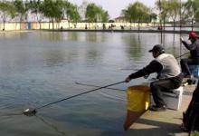 黑坑钓鱼要了解鱼情、水情，按池塘环境选钓位