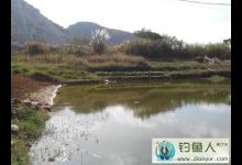 手竿浮钓鲢鳙技巧（线组用饵浮漂调整）