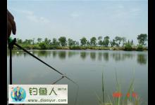 十五钓不上鲢鳙鱼的原因详细分析