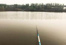 北方钓友看过来，钓友无私分享，黑坑钓鲫鱼攻略