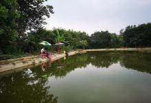 黑坑钓友都在用的选钓位定律，初玩黑坑的看过来