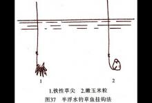 高手分享青鱼的12种钓法