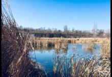 冬钓在水库中如何选准钓点？谈选钓点和钓鱼技巧