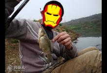 春季钓鲫鱼的五要点和七选择详解