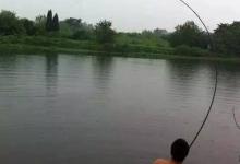 野钓大鱼的6个遛鱼动作要领
