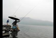 老钓位就是好钓位，不一定，好不好还要看这几点