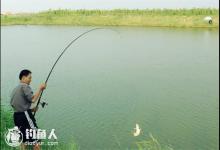 程宁谈垂钓提竿刺鱼的手法操控