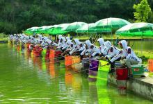 黑坑作钓记住这三点，轻松应对抢鱼期之后的停口期