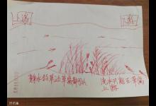 手绘钓位选择大全，有图有真相