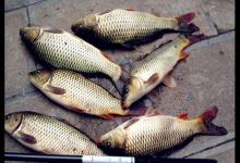 钓鱼不知如何选钓位？劝你选这几个位置