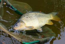 钓鱼总是钓不到，有经验老钓友都这样选钓位，新手也可以