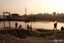 前人的垂钓经验 传统钓需掌握“三勤”