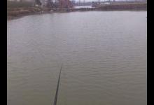 传统钓挂红虫冬季很给力钓获20多尾大板鲫