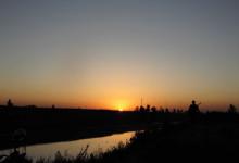 野河蚯蚓作饵垂钓野生鲫鱼爆盆