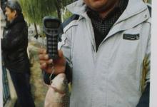 春季垂钓野生大鲫鱼技巧和方法详解