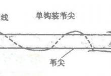巧用苇尖钓草鱼分析