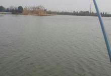 浮漂一动心就跳喜获大翘嘴[等你来黑票]