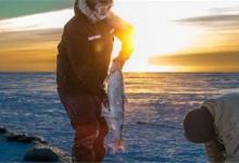 如何根据鱼星及鱼的洄游路线选窝