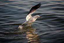 野外钓鱼应该怎么选择一个好钓位？