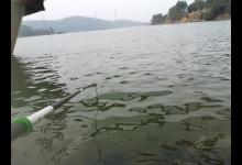 冬季适什么样的钓位呢？冬季找钓位应该做到以下几点