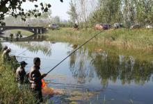 春季钓鱼只要位置选得对，不愁钓，附扎堆所在地