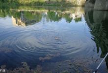 遛鱼及看漂的重要技巧，上鱼就看最后一刻