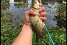 十次抛竿九次挂底？野钓找个钓位用这些办法