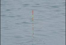 漂动提竿却无鱼，原因差不多就是这些