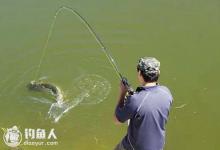 初学钓鱼者防跑鱼的提竿、遛鱼技巧