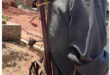 高手吴老汉自制鱼竿钓甲鱼[图文]