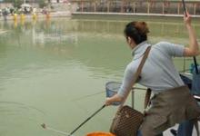 手竿遛鱼要注意什么？3个技巧