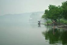 这些所谓的黄金钓点，其实都不怎么藏鱼，更别提鱼窝了