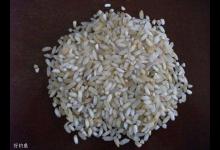 小杂鱼的三个特点及六大应变技巧