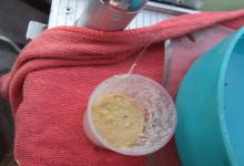 沾饵钓鲫鱼法有效避免小鱼闹钩的技巧