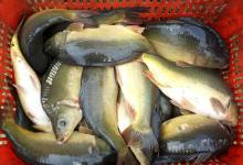 都是黑坑！南方跟北方有什么不同？