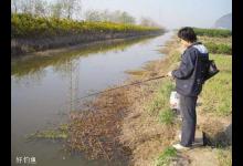 初春钓鱼寻找理想钓位的四个规律