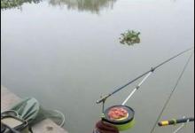 钓鱼必须掌握的5项技巧，如果精通，那也算是个高手了