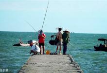 提高提竿中鱼几率的三个基本动作解析