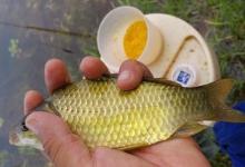 冬季钓鱼怎样选择钓位？有3点需注意