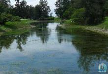 了解鲤鱼的习性以及钓鲤鱼的技巧