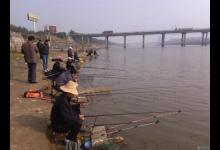 晚秋到初冬，野钓钓位选择很简单，有温度或食物