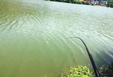 鱼被刺住之后，为何还会脱钩！降低脱钩率的办法