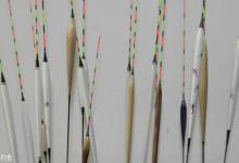 浮漂总是上下抖动不出顿口的原因